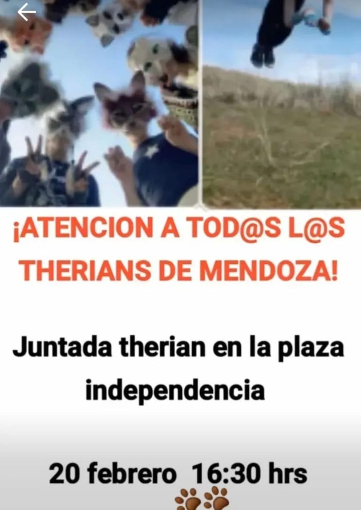 La Plaza Independencia será la sede del primer encuentro therian. 