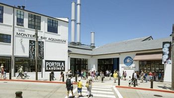 Una fábrica de sardinas cerró en Estados Unidos y una donación de US$57 millones la convirtió en uno de los acuarios más visitados del mundo