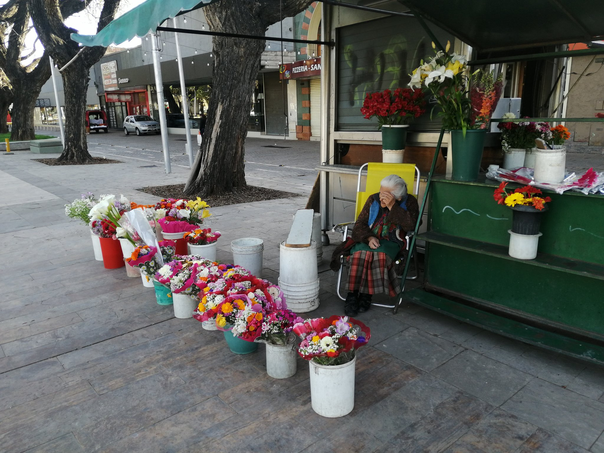 Historia de vida: Nelly llega al puesto de flores temprano y tiene algunos colaboradores que le ayudan a acomodar las flores. Imagen; Mat&iacute;as Pascualetti