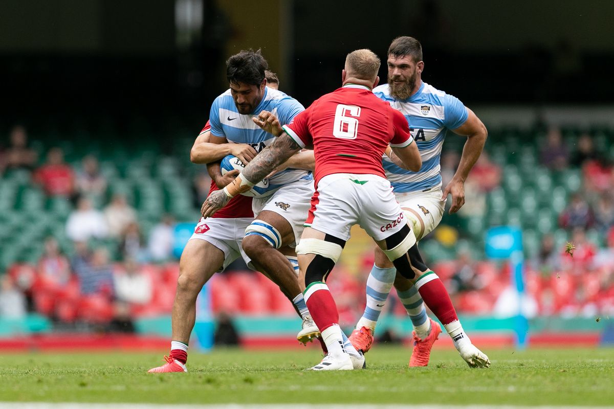 Los Pumas no pudieron llevarse la victoria ante Gales.