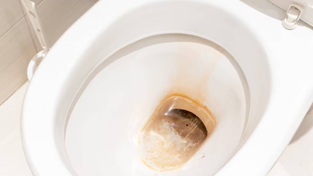 Dile adiós a las manchas de sarro del interior del inodoro con ingredientes que tienes en casa