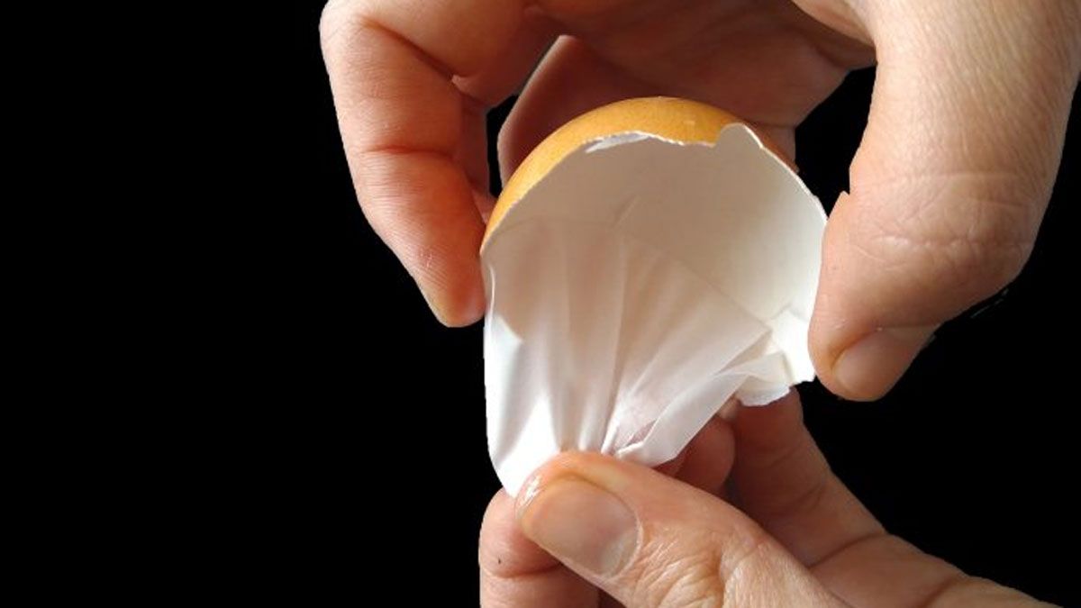 La membrana del huevo tiene muchos beneficios y debería tenerse en cuenta cuando consumimos este noble producto.