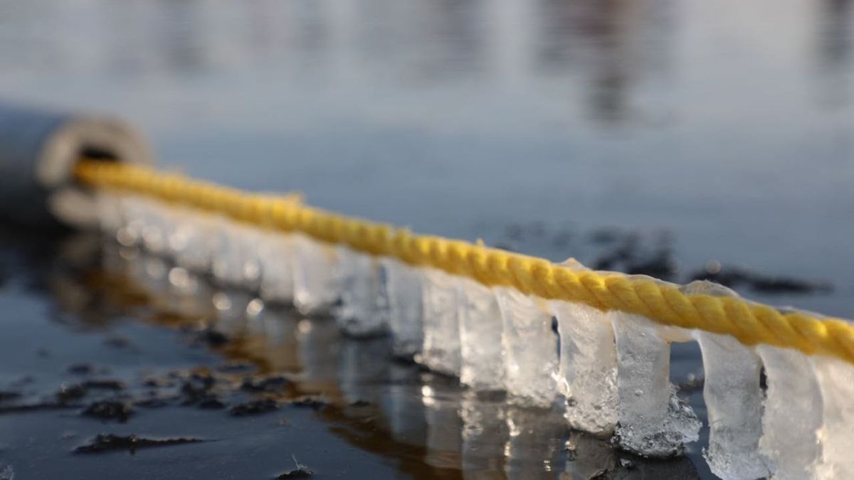 Imagen que dice todo: las velas de hielo en las sogas que marcan los andariveles de la pileta donde se nada a cuerpo desnudo. Imagen que dice todo: las velas de hielo en las sogas que marcan los andariveles de la pileta donde se nada a cuerpo desnudo.
