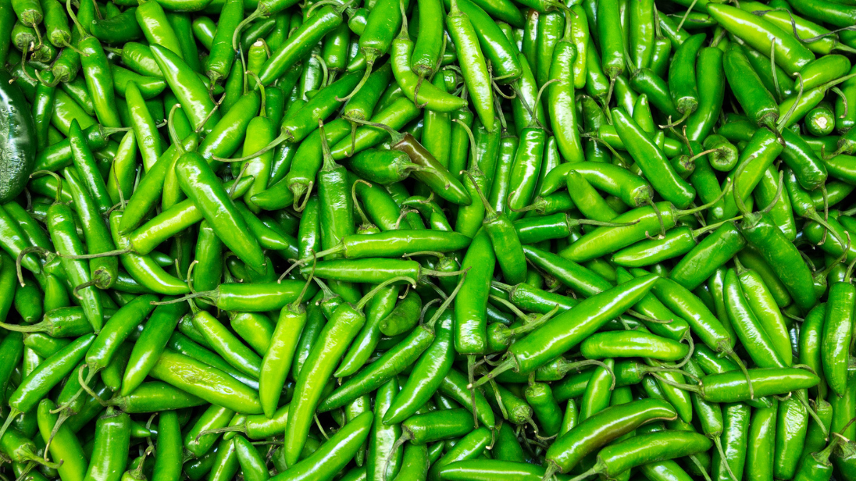 Este es el increíble shampoo de chile que fortalece el cabello y