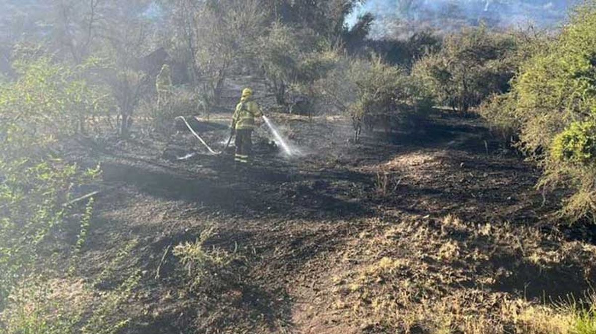 Imagen del incendio en Los Chacayes. Imagen del incendio en Los Chacayes.