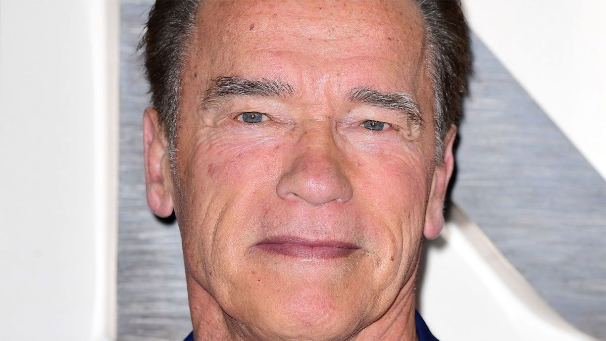El actor Arnold Schwarzenegger interpreta a Luke Brunner en la serie FUBAR