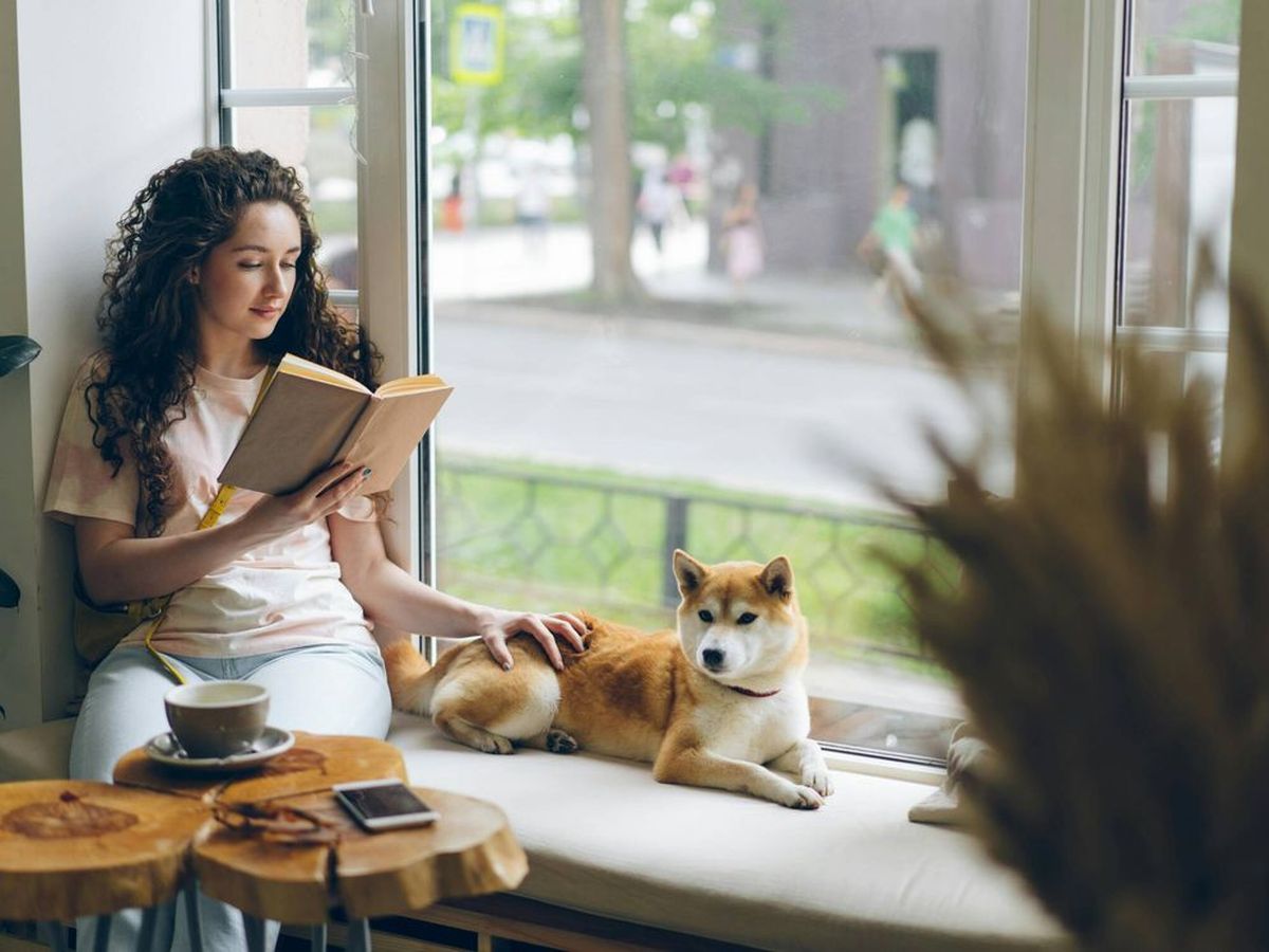 Los bancos de obra encajan perfectos en cualquier sector del hogar. Los bancos de obra encajan perfectos en cualquier sector del hogar.