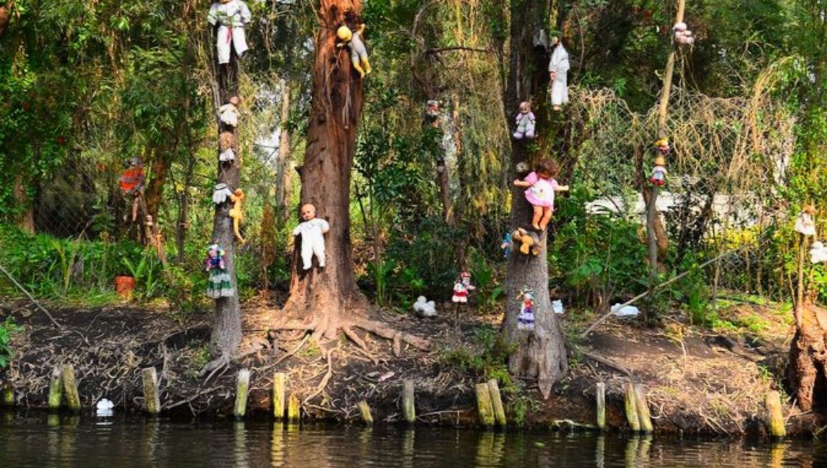 Canal donde murió Santana, el famoso recolector de muñecas. Canal donde murió Santana, el famoso recolector de muñecas.