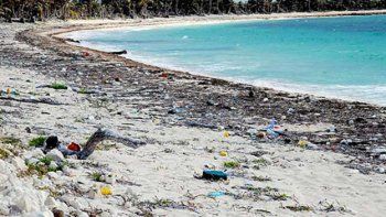 Vas, limpiás la playa y de recompensa... te dan un juguete erótico