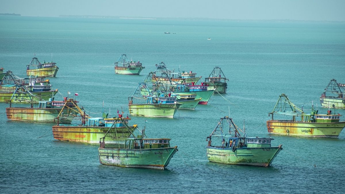 ¿Qué es la pesca sostenible?Fuente: Pixabay