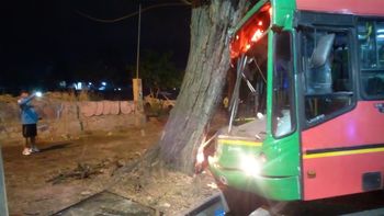 Hubo 18 heridos luego de que un micro se estrellara contra un árbol en Ciudad