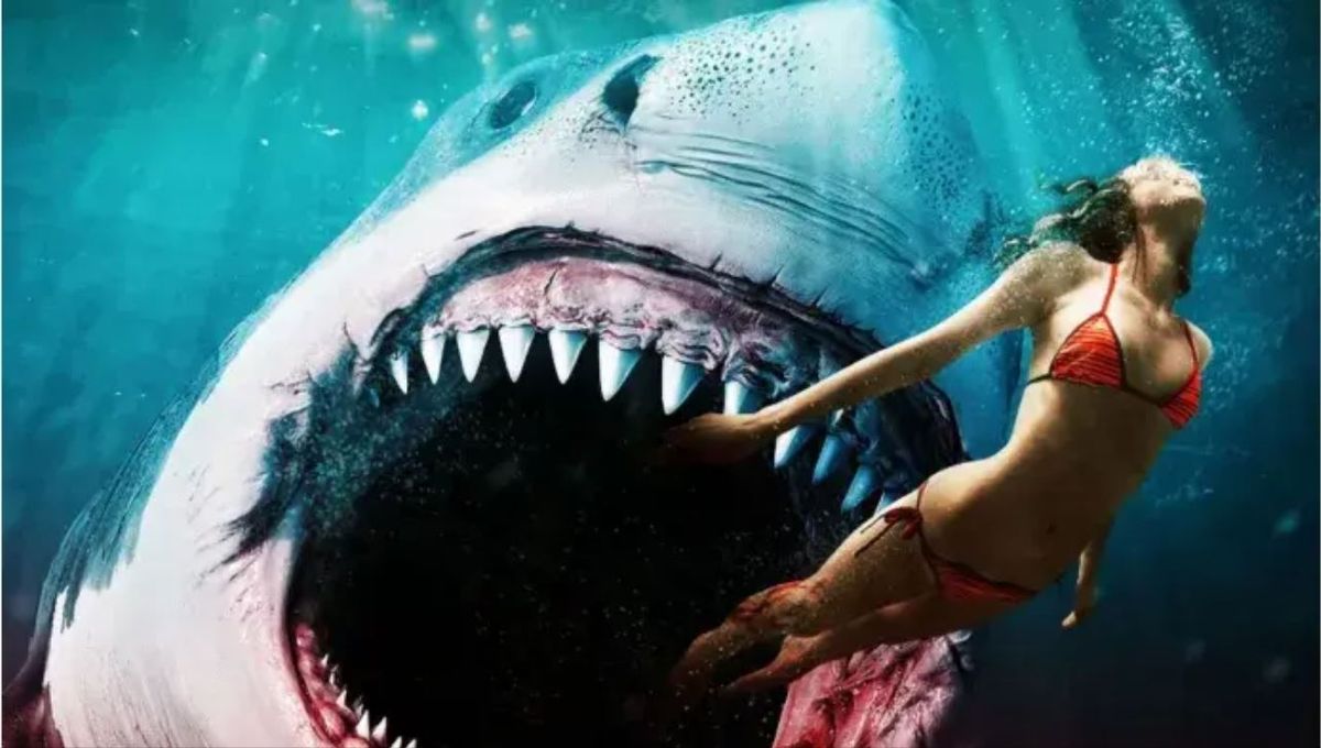 Streaming. Netflix tiene la película del tiburón más sangriento y es Top.