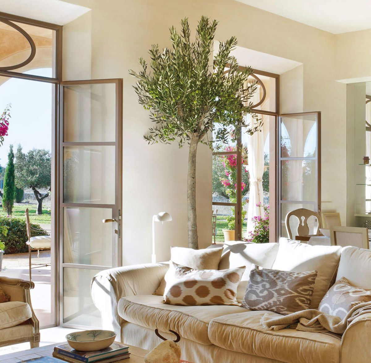 La mejor &eacute;poca para cultivar un &aacute;rbol de olivo es durante el oto&ntilde;o o principios de primavera.