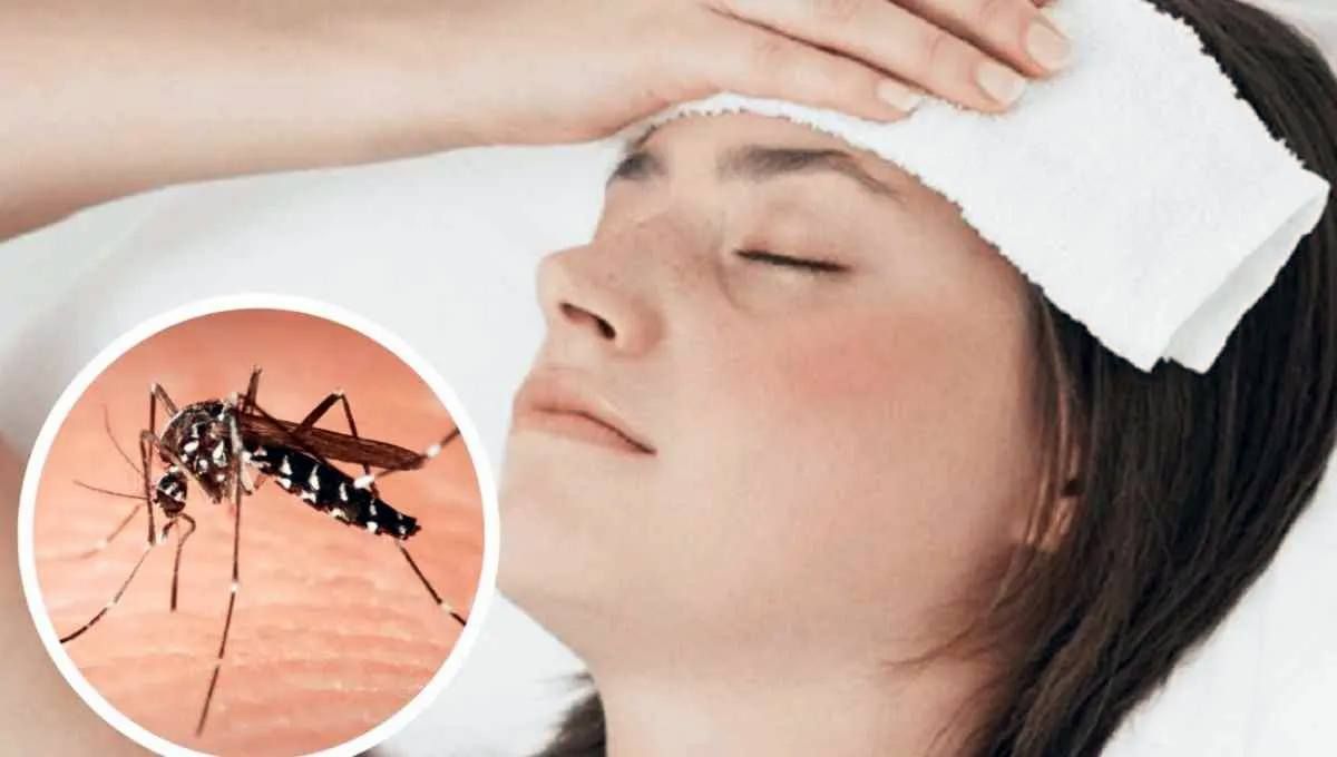 Dengue: la importante advertencia sobre los mosquitos y sus picaduras