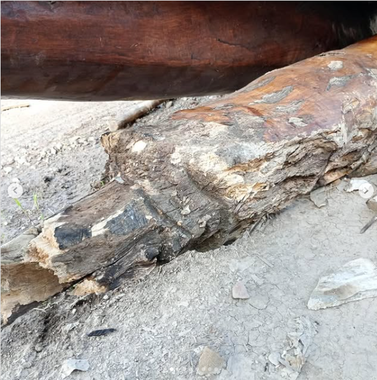 El Cristo del Manzano sufrió daños estructurales por un accidente que ocurrió el pasado fin de semana en Tunuyán. El Cristo del Manzano sufrió daños estructurales por un accidente que ocurrió el pasado fin de semana en Tunuyán.