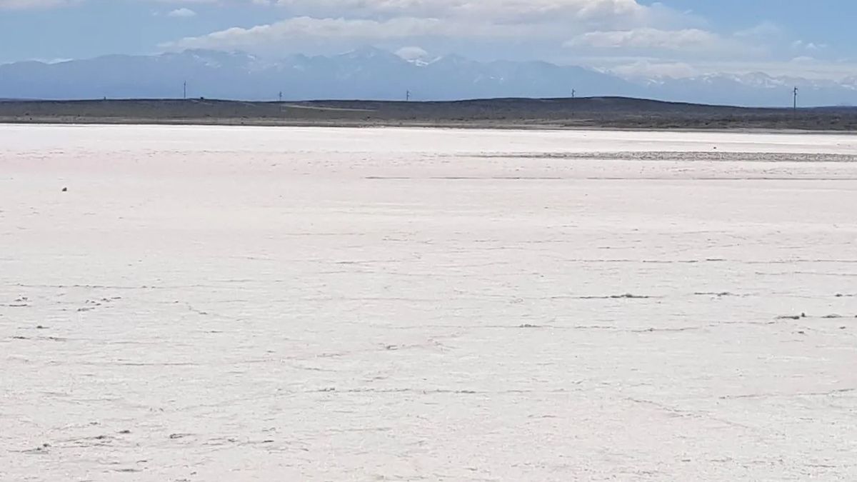 Ampere Lithium es la firma australiana que presentó los permisos para explorar litio en las Salinas del Diamante, en San Rafael.