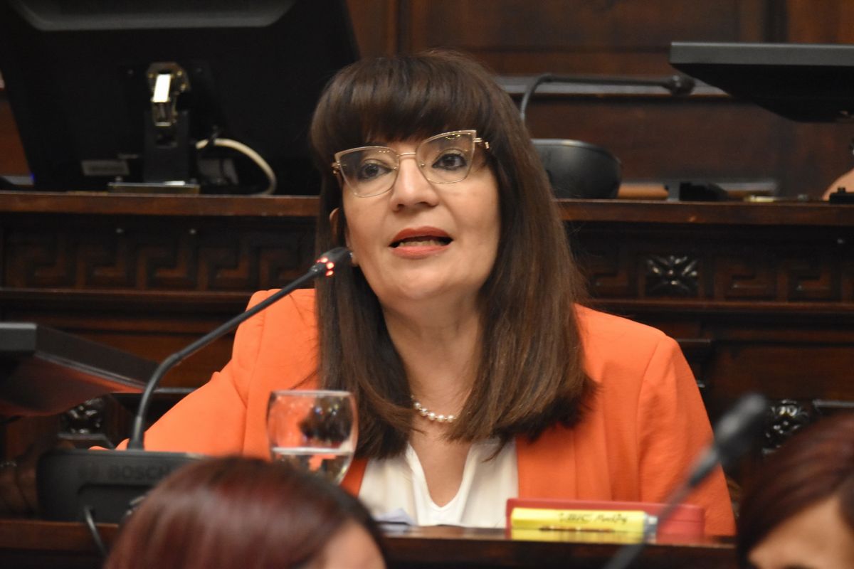 Claudia Salas, diputada radical. Claudia Salas, diputada radical.