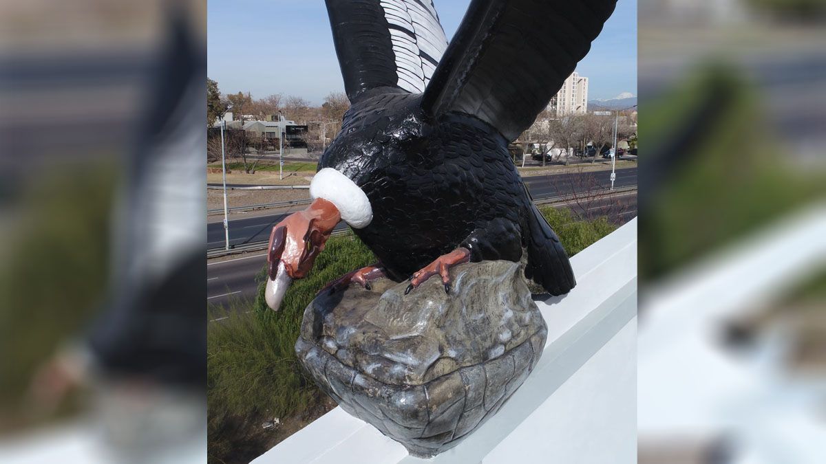 Todos los que circulan por Acceso Este hacia el Oeste, o toman el empalme con el Acceso Sur pueden ver la nueva imagen del Cóndor del Acceso. Todos los que circulan por Acceso Este hacia el Oeste, o toman el empalme con el Acceso Sur pueden ver la nueva imagen del Cóndor del Acceso.