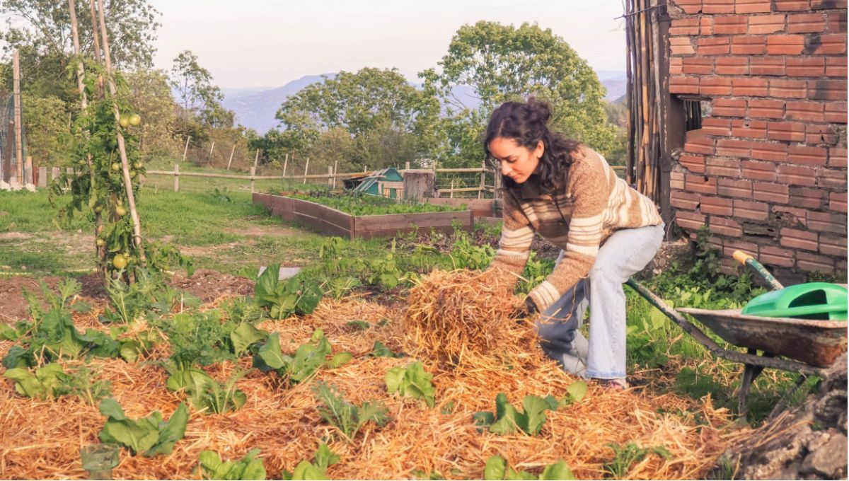 No tires las hojas de tu jardín: son algo valioso para el mundo de la jardinería.&nbsp;
