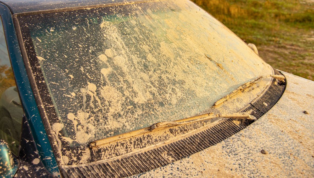 Puedes combinar vinagre con otros ingredientes naturales para limpiar el auto cada una de sus partes, como limón o bicarbonato. Puedes combinar vinagre con otros ingredientes naturales para limpiar el auto cada una de sus partes, como limón o bicarbonato. 