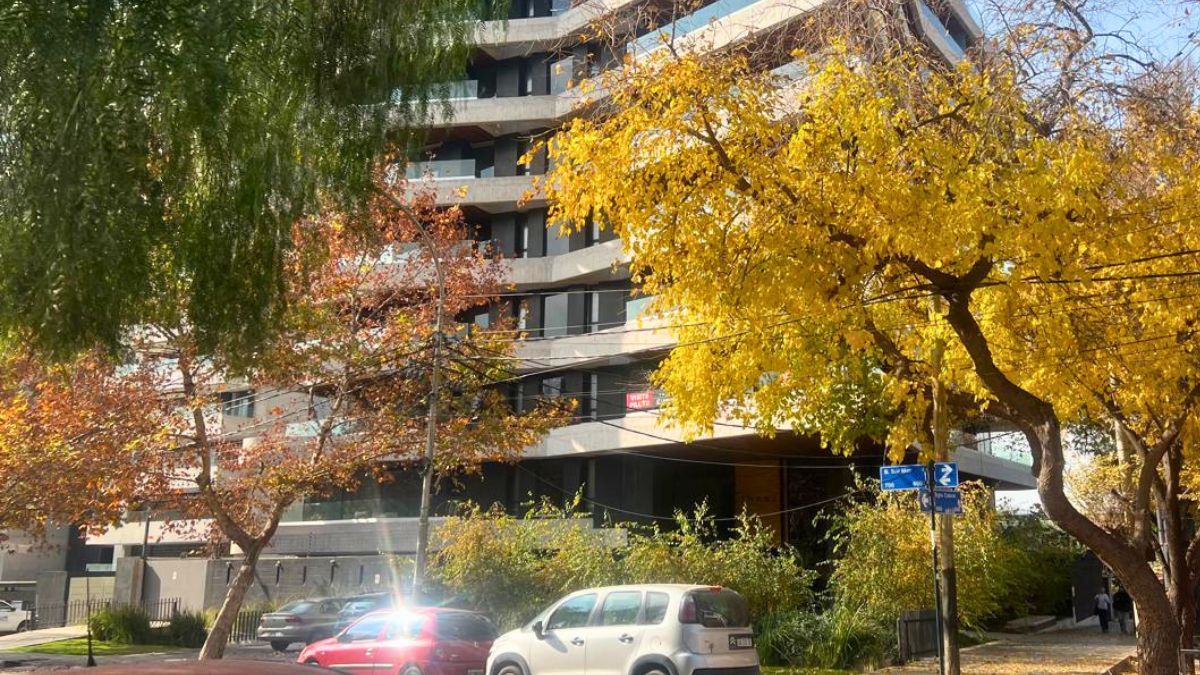El edificio donde se concretó uno de los 3 allanamientos a Facundo Leal en Mendoza, una torre en plena Quinta Sección de Ciudad. El edificio donde se concretó uno de los 3 allanamientos a Facundo Leal en Mendoza, una torre en plena Quinta Sección de Ciudad.