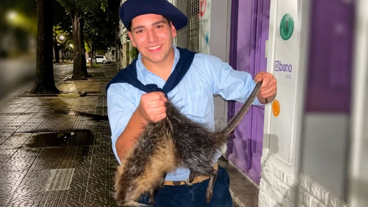 Los maltratadores de filmaron y fotografiaron con la nutria atacada.