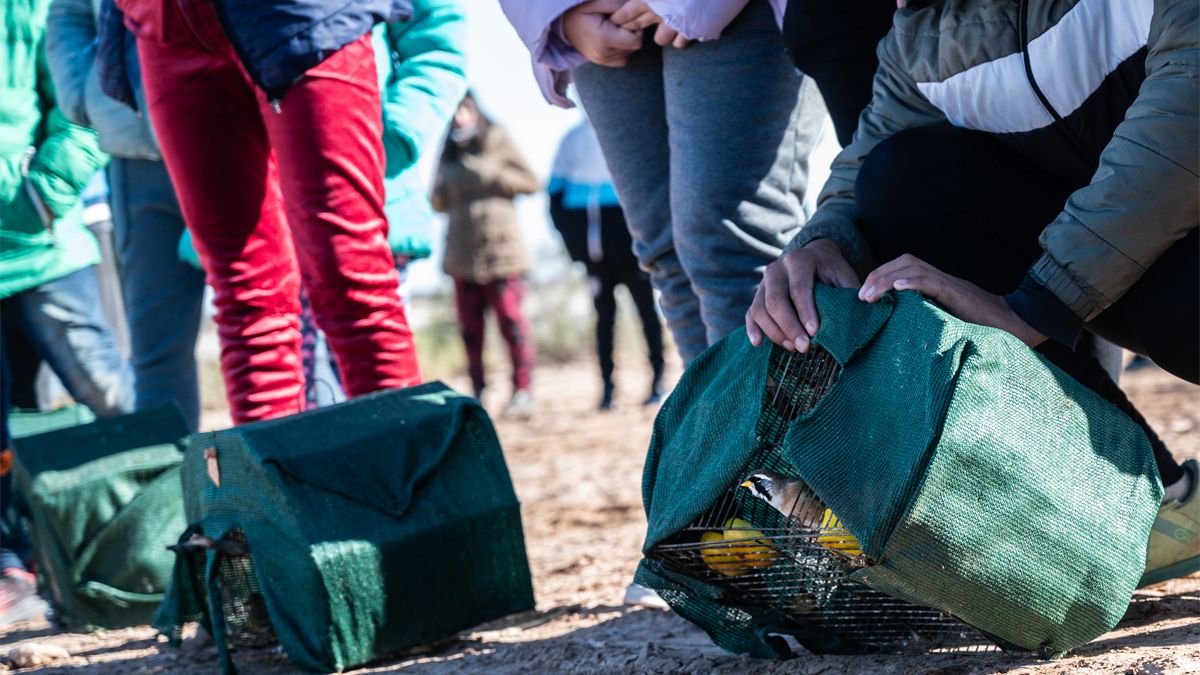 Liberaron aves silvestres en el Ramsar de Desaguadero.