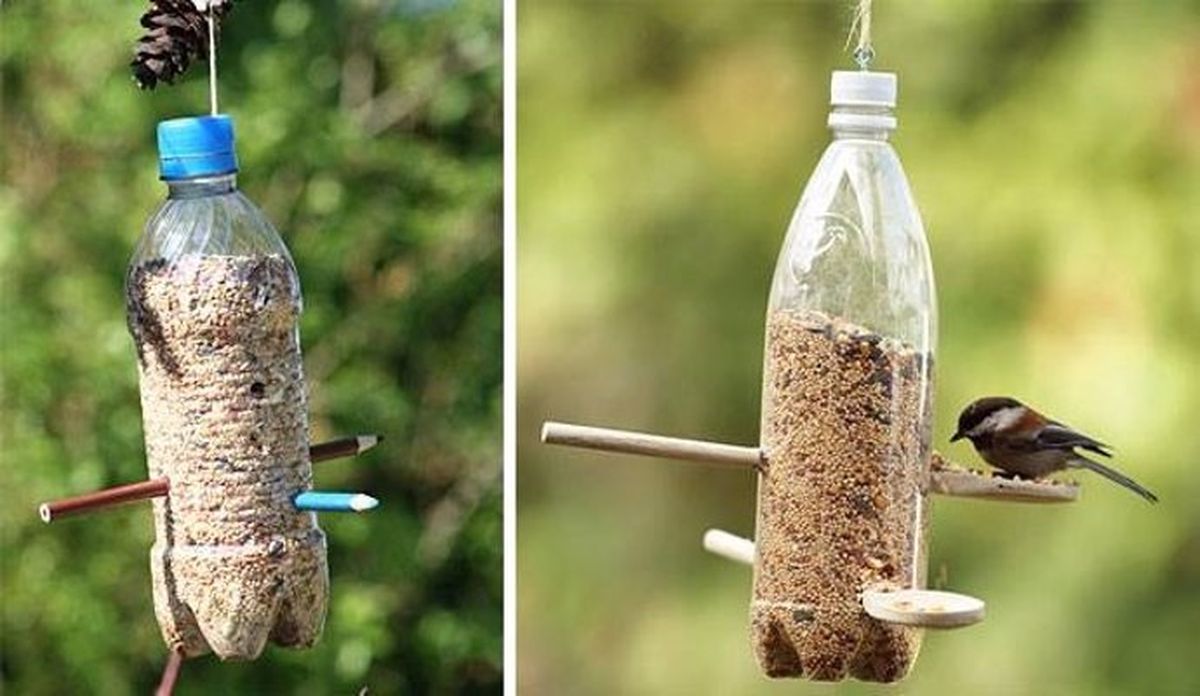 Nido para pájaros. Nido para pájaros.
