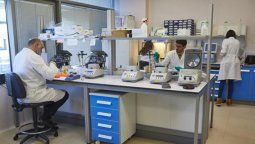 Coronavirus: seis buenas noticias sobre el nuevo virus covid-19