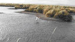 El anteproyecto del Código de Aguas prevé mecanismos de protección de humedales en Mendoza.