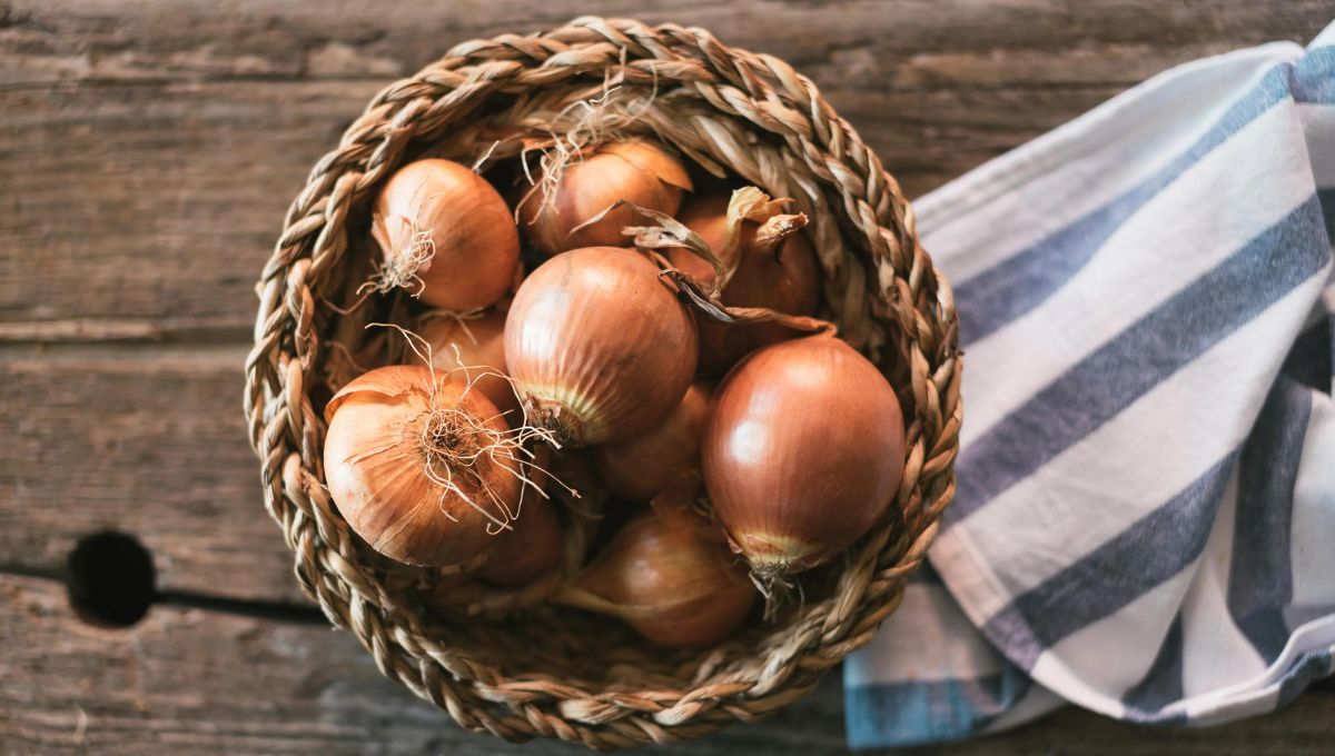 ¿Cómo almacenar cebollas para que no se pudran?