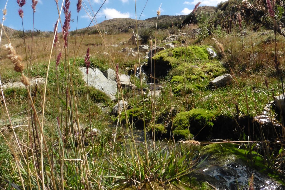 La Reserva Natural Villavicencio refuerza su estrategia para la conservación del agua