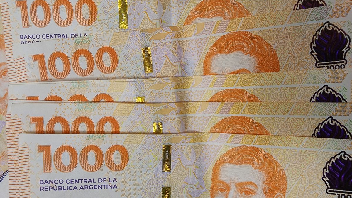 Lanzan un programa que ofrece EMPLEO a 10.000 trabajadores desocupados