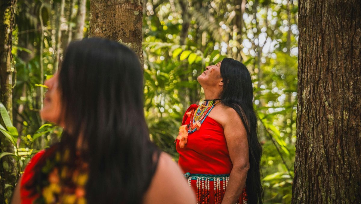 El calentamiento global afecta la producción de la cosmética natural. El calentamiento global afecta la producción de la cosmética natural.