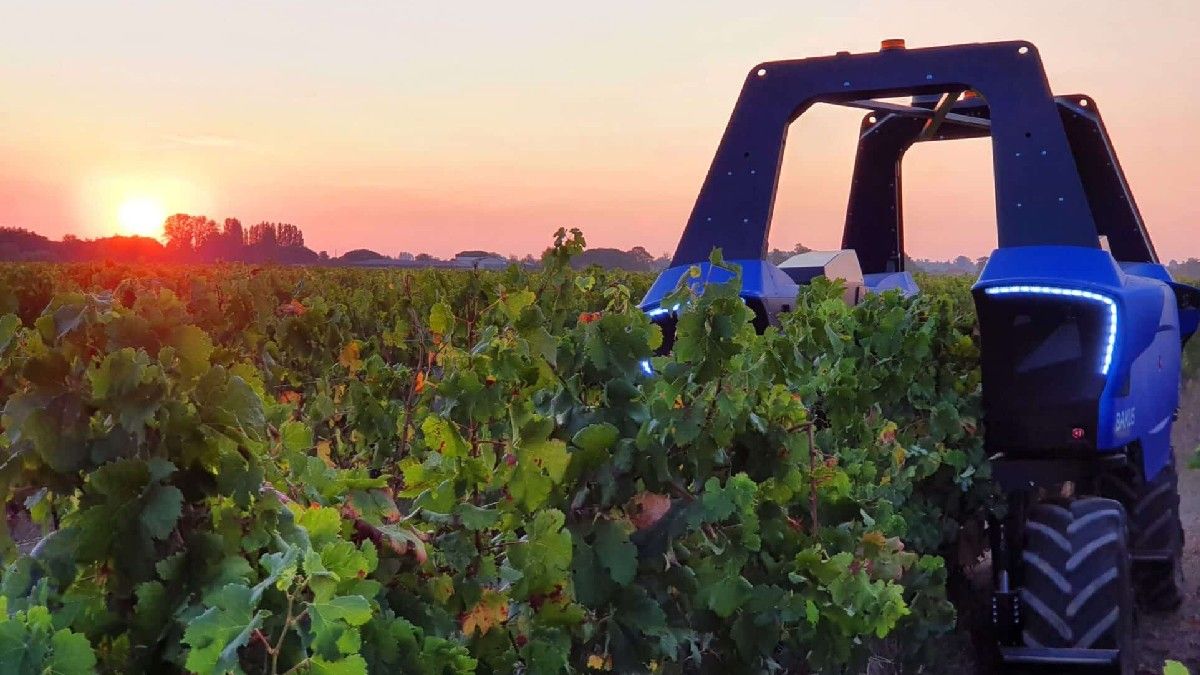 La compra de maquinaria para la vitivinicultura impulsó los créditos bancarios en Mendoza.