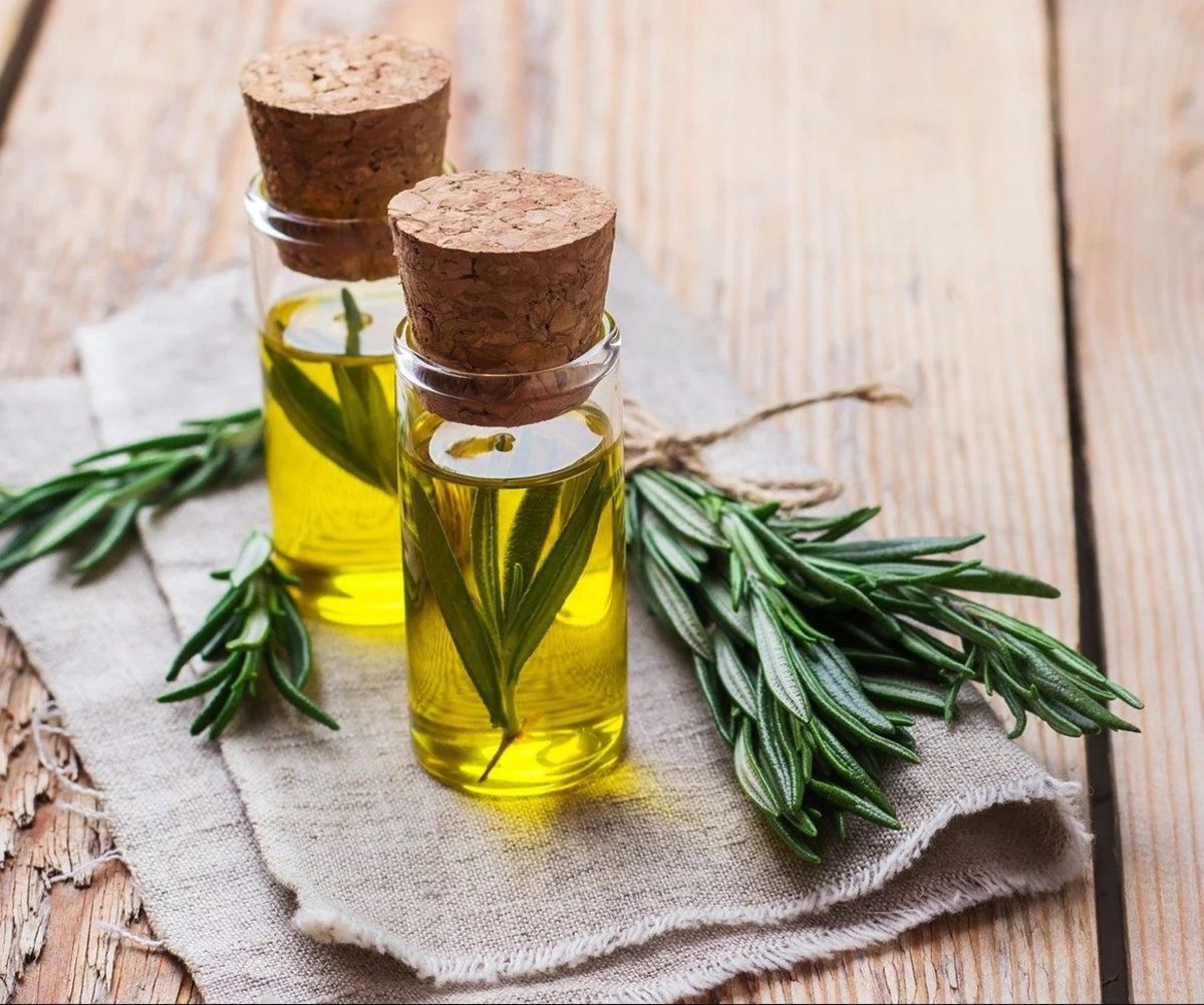 Qué beneficios tiene el aceite de romero para el cabello. Qué beneficios tiene el aceite de romero para el cabello.