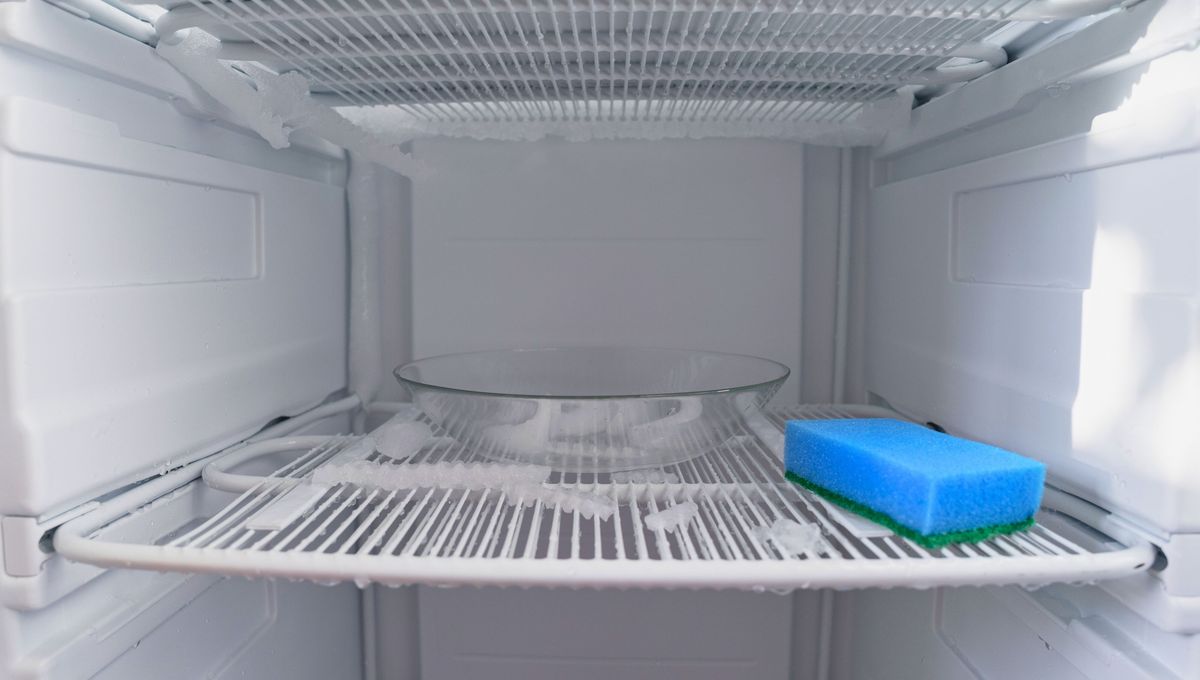 Realiza una limpieza mensual y revisión del congelador. Realiza una limpieza mensual y revisión del congelador. 