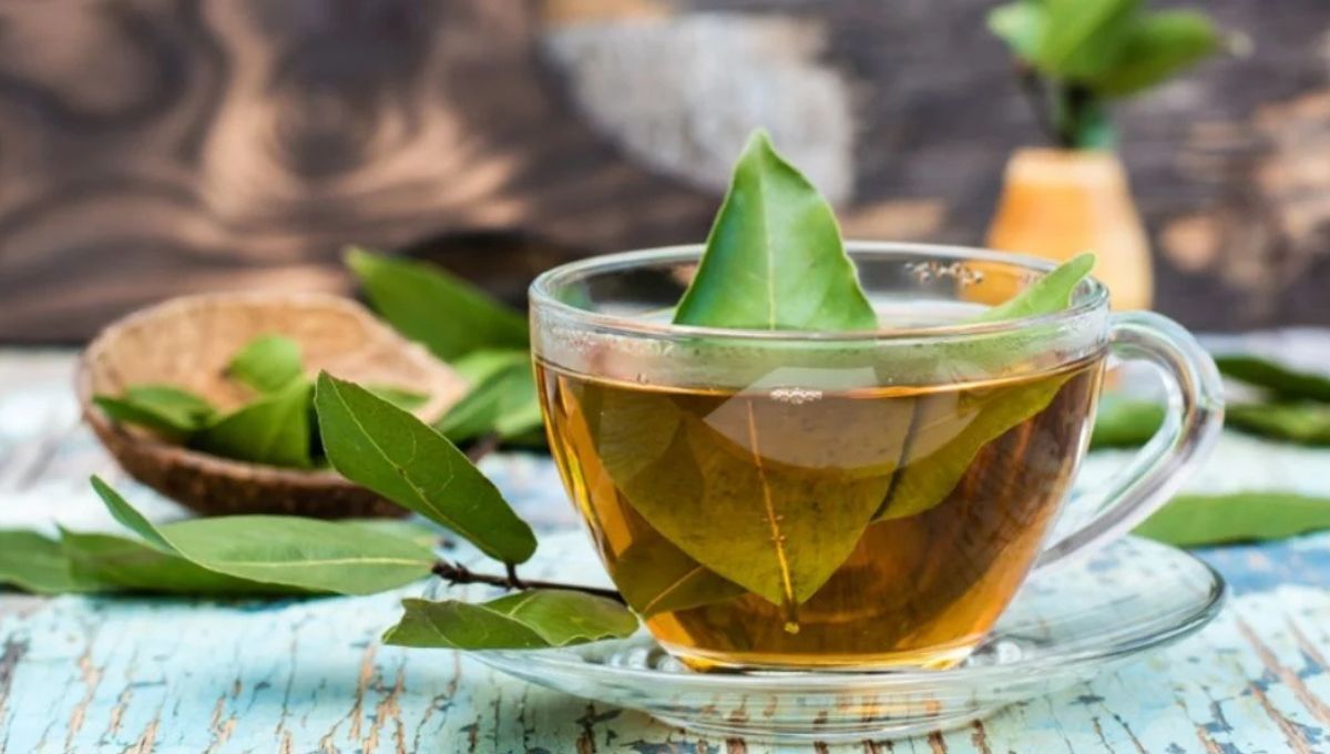 Por qué tomar té de laurel y menta: grandes beneficios y fácil preparación