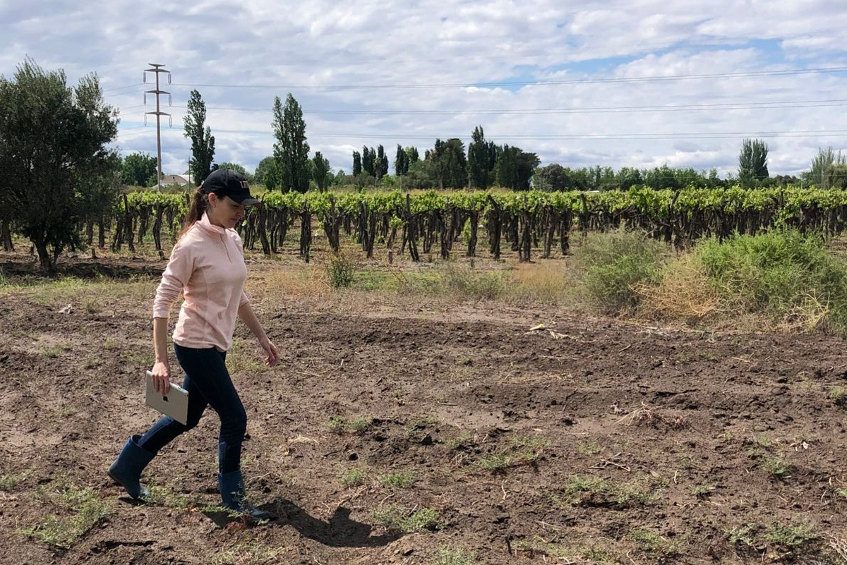 Paz Álvarez, emprendedora mendocina de pura cepa. Paz Álvarez, emprendedora mendocina de pura cepa.