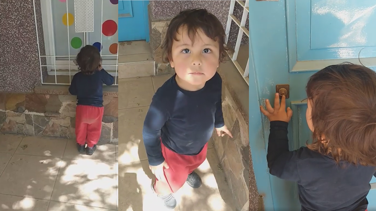 Stefano, de 2 añitos, pasó por su jardin y quiso entrar.