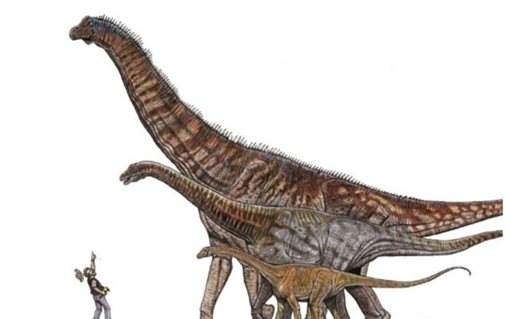 Anunciaron el descubrimiento del dinosaurio más grande de Brasil
