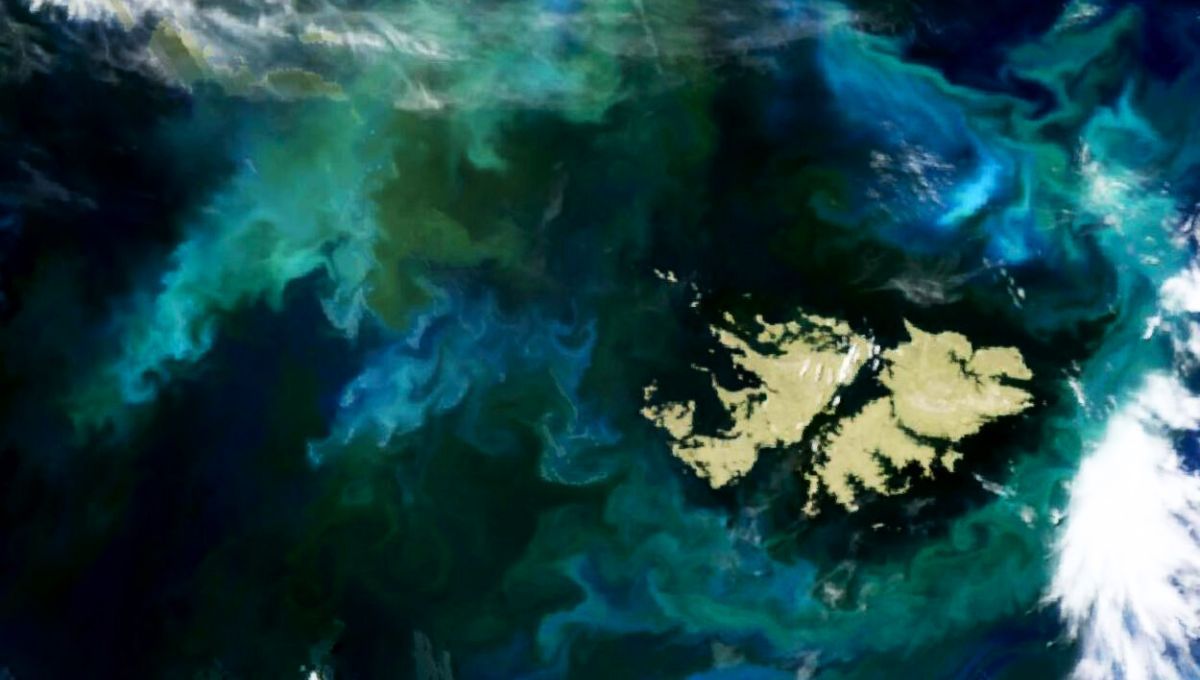 La NASA descubrió un sorprendente fenómeno en las Islas Malvinas