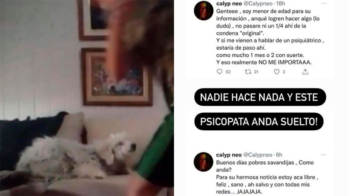 Un joven de 16 años se filmó propinándole una feroz golpiza a su perro.