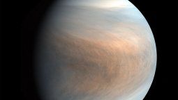 Hallaron posibles indicios de vida en Venus