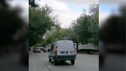 Cayó un árbol en plena Vicente Zapata, de Capital