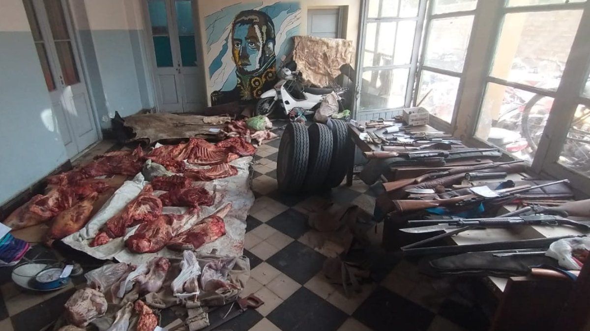 La carne y armas de fuego secuestrada a las bandas de cuatreros.