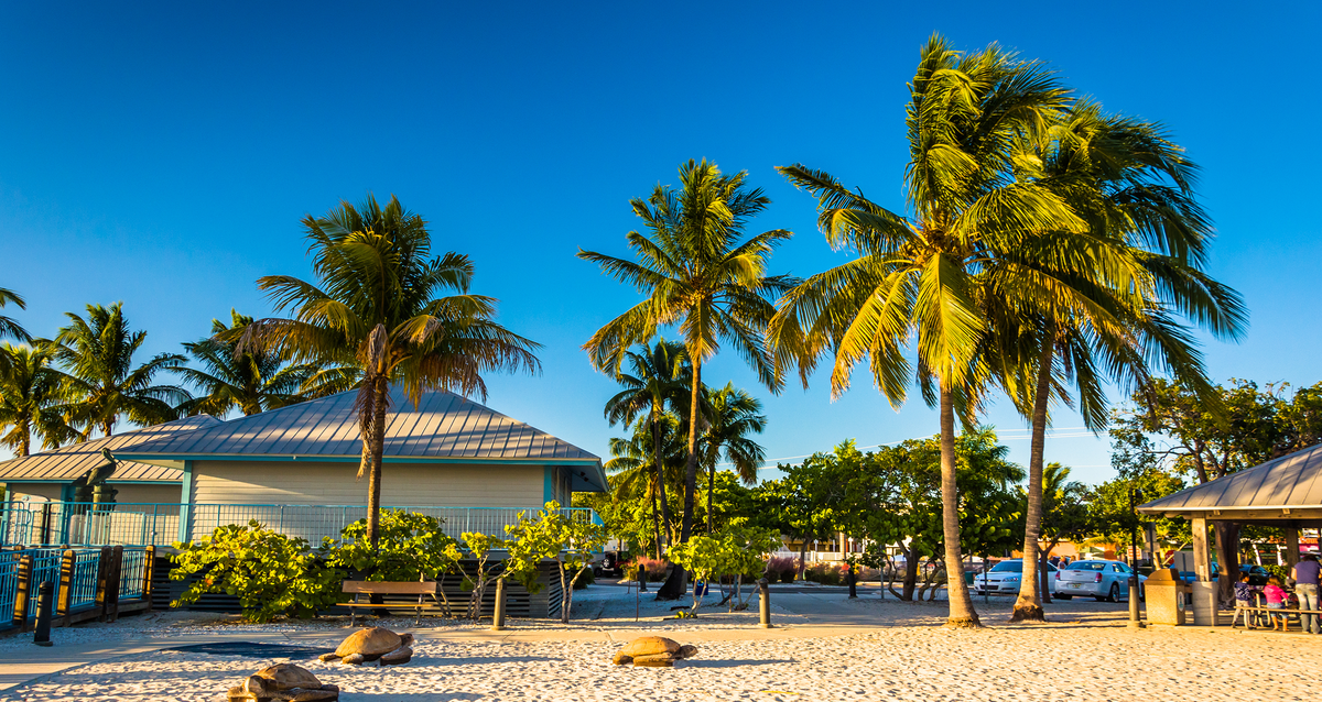 Las playas de Florida tienen un aire tropical que hace recordar a sudamérica. Las playas de Florida tienen un aire tropical que hace recordar a sudamérica.