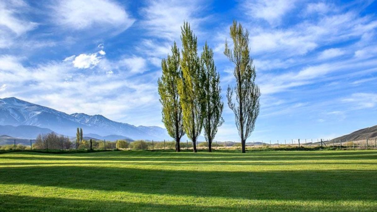 La zona de La Carrera (Tupungato) es uno de los sitios con actividad ganadera en Mendoza.