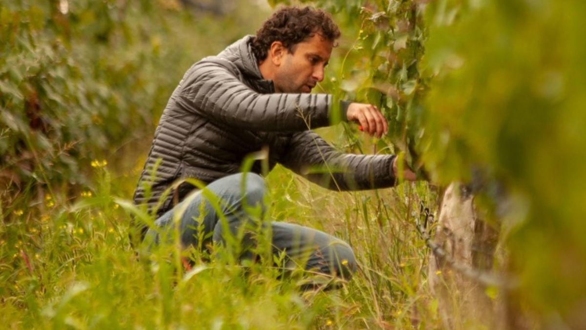 Murgia se define como un amante del trabajo de campo y las ciencias naturales. Murgia se define como un amante del trabajo de campo y las ciencias naturales.