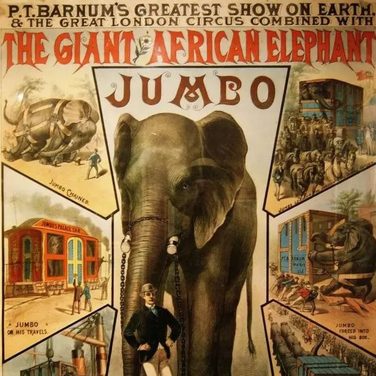 La historia de Jumbo es sumamente triste. La historia de Jumbo es sumamente triste.